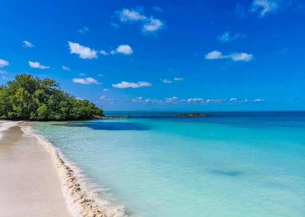 Amazing Landscape Panorama View Turquoise Blue Water Palm Trees Blue — Zdjęcie stockowe