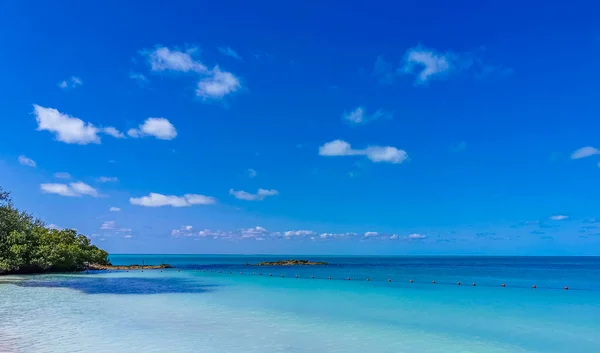 Amazing Landscape Panorama View Turquoise Blue Water Palm Trees Blue — Fotografia de Stock