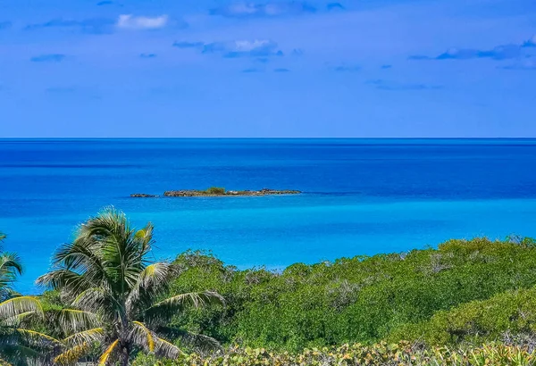 Amazing Landscape Panorama View Turquoise Blue Water Palm Trees Blue — 图库照片