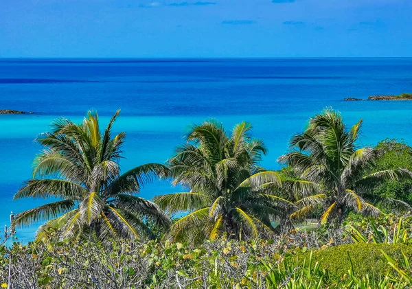 Amazing Landscape Panorama View Turquoise Blue Water Palm Trees Blue — ストック写真