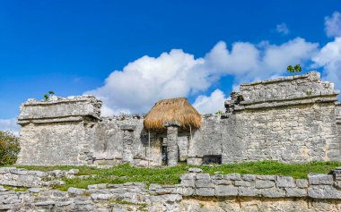 Antik Tulum, Tulum Meksika 'daki tropikal doğal orman palmiyesi ve deniz manzarasında tapınak kalıntıları ve eserlerle Maya bölgesini harabeye çeviriyor..