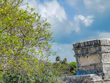 Antik Tulum, Tulum Meksika 'daki tropikal doğal orman palmiyesi ve deniz manzarasında tapınak kalıntıları ve eserlerle Maya bölgesini harabeye çeviriyor..