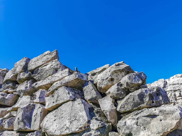 Ancient Tulum Ruins Mayan Site Temple Ruins Pyramids Artifacts Tropical — стокове фото