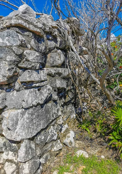 Antiche Rovine Tulum Sito Maya Con Rovine Templi Piramidi Manufatti — Foto Stock