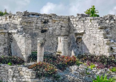 Antik Tulum, Tulum Meksika 'daki tropikal doğal orman palmiyesi ve deniz manzarasında tapınak kalıntıları ve eserlerle Maya bölgesini harabeye çeviriyor..