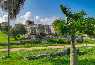 Antik Tulum, Tulum Meksika 'daki tropikal doğal orman palmiyesi ve deniz manzarasında tapınak kalıntıları ve eserlerle Maya bölgesini harabeye çeviriyor..