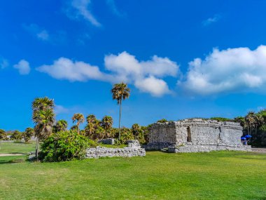 Antik Tulum, Tulum Meksika 'daki tropikal doğal orman palmiyesi ve deniz manzarasında tapınak kalıntıları ve eserlerle Maya bölgesini harabeye çeviriyor..