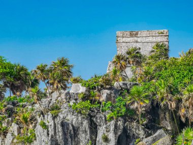 Antik Tulum, Tulum Meksika 'daki tropikal doğal orman palmiyesi ve deniz manzarasında tapınak kalıntıları ve eserlerle Maya bölgesini harabeye çeviriyor..
