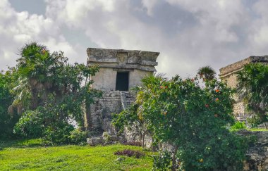 Antik Tulum, Tulum Meksika 'daki tropikal doğal orman palmiyesi ve deniz manzarasında tapınak kalıntıları ve eserlerle Maya bölgesini harabeye çeviriyor..