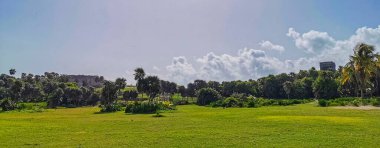 Antik Tulum, Tulum Meksika 'daki tropikal doğal orman palmiyesi ve deniz manzarasında tapınak kalıntıları ve eserlerle Maya bölgesini harabeye çeviriyor..