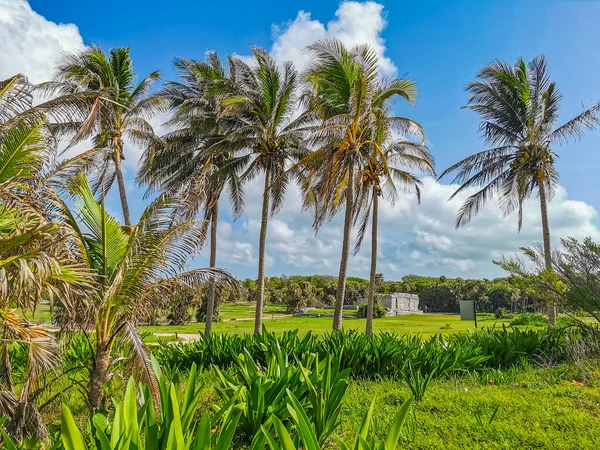 Ancient Tulum Ruins Mayan Site Temple Ruins Pyramids Artifacts Tropical — Zdjęcie stockowe