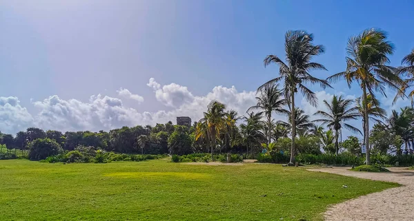 Ancient Tulum Ruins Mayan Site Temple Ruins Pyramids Artifacts Tropical — 스톡 사진