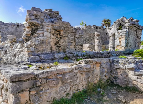 Ancient Tulum ruins Mayan site with temple ruins pyramids and artifacts in the tropical natural jungle forest palm and seascape panorama view in Tulum Mexico.