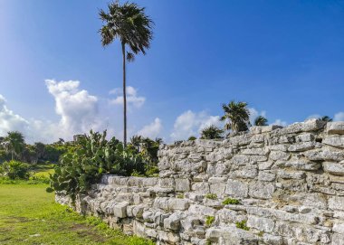 Antik Tulum, Tulum Meksika 'daki tropikal doğal orman palmiyesi ve deniz manzarasında tapınak kalıntıları ve eserlerle Maya bölgesini harabeye çeviriyor..