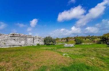 Antik Tulum, Tulum Meksika 'daki tropikal doğal orman palmiyesi ve deniz manzarasında tapınak kalıntıları ve eserlerle Maya bölgesini harabeye çeviriyor..