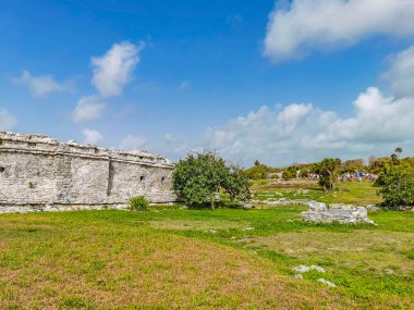 Antik Tulum, Tulum Meksika 'daki tropikal doğal orman palmiyesi ve deniz manzarasında tapınak kalıntıları ve eserlerle Maya bölgesini harabeye çeviriyor..