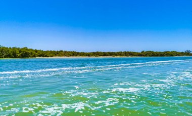 Güzel Holbox adası ve çevresindeki doğal orman ve Quintana Roo Mexico 'daki turkuaz su manzarası..