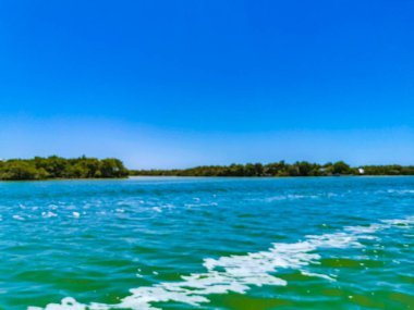 Güzel Holbox adası ve çevresindeki doğal orman ve Quintana Roo Mexico 'daki turkuaz su manzarası..