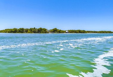 Güzel Holbox adası ve çevresindeki doğal orman ve Quintana Roo Mexico 'daki turkuaz su manzarası..