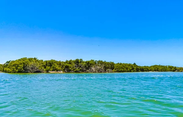 自然の森とキンタナ メキシコのターコイズブルーの水に囲まれた美しいホルボックス島と島のパノラマ風景 — ストック写真