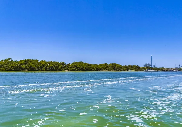 Güzel Holbox adası ve çevresindeki doğal orman ve Quintana Roo Mexico 'daki turkuaz su manzarası..