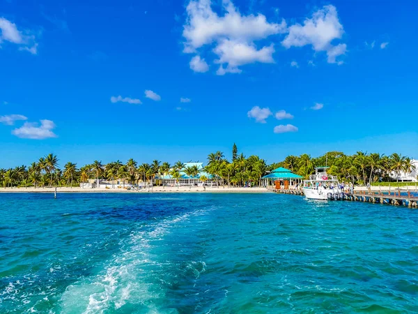 Boat Trip Tour Cancun Island Mujeres Isla Contoy Whale Shark — Foto Stock