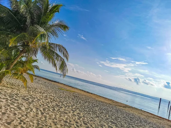 Beautiful Playa Azul Beach Seascape Panorama Blue Turquoise Water Hotels — Zdjęcie stockowe