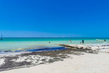 Holbox Mexico 16. May 2022 Panorama landscape view on beautiful Holbox island sandbank and beach with waves turquoise water and blue sky in Quintana Roo Mexico.