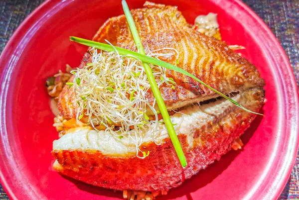 Plate of healthy fish potato vegetables and salad food and drink in the restaurant PapaCharly Papa Charly in Playa del Carmen Quintana Roo Mexico.