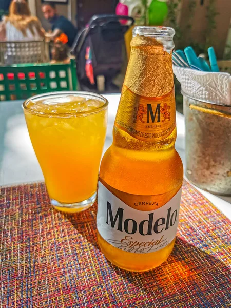 Playa del Carmen Mexico 03. March 2022 Modelo beer bottle food and drink in the restaurant PapaCharly Papa Charly in Playa del Carmen Quintana Roo Mexico.