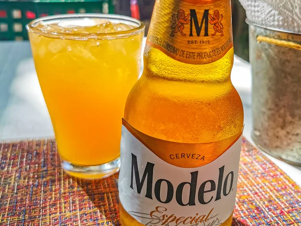 Playa Del Carmen Mexico May 2022 Modelo Beer Bottle Food — Zdjęcie stockowe