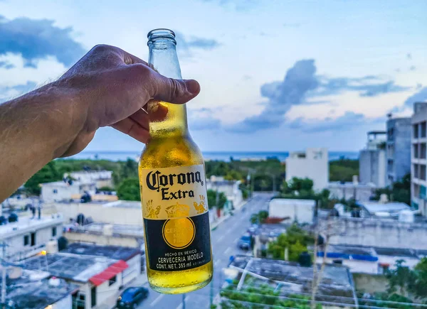 Playa del Carmen Mexico 28. April 2022 Pacifico beer bottle with amazing cityscape landscape and caribbean ocean and beach panorama view of Playa del Carmen in Quintana Roo Mexico.