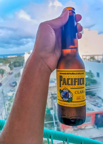 Playa del Carmen Mexico 13. April 2022 Pacifico beer bottle with amazing cityscape landscape and caribbean ocean and beach panorama view of Playa del Carmen in Quintana Roo Mexico.