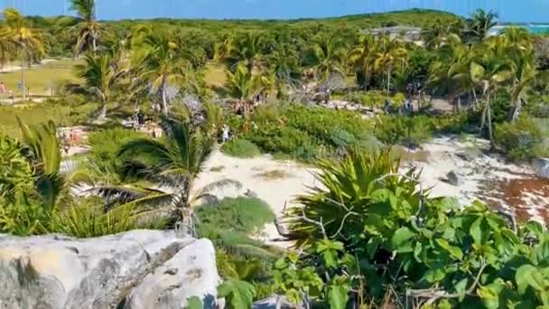 Tulum México Febrero 2022 Antiguas Ruinas Tulum Sitio Maya Con — Vídeo de stock