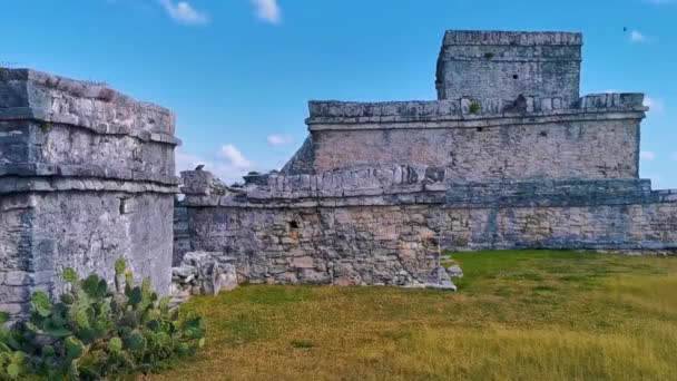 Ancient Tulum Ruins Mayan Site Temple Ruins Pyramids Artifacts Tropical — Vídeo de Stock