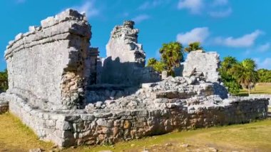 Antik Tulum, Tulum Meksika 'daki tropikal doğal orman palmiyesi ve deniz manzarasında tapınak kalıntıları ve eserlerle Maya bölgesini harabeye çeviriyor..