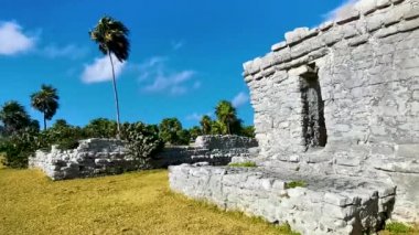Antik Tulum, Tulum Meksika 'daki tropikal doğal orman palmiyesi ve deniz manzarasında tapınak kalıntıları ve eserlerle Maya bölgesini harabeye çeviriyor..