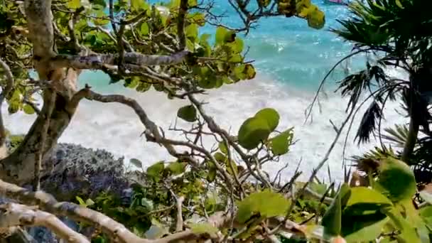 Oude Tulum Ruïnes Maya Site Met Tempel Ruïnes Piramides Artefacten — Stockvideo