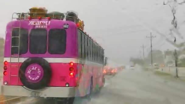 멕시코 2022 핀타나 도로인 플라야델 카르멘에서 분홍빛 Xcaret 버스가 폭우를 — 비디오