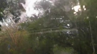 Driving in heavy rain monsoon in the summer and tropical nature in Playa del Carmen in Quintana Roo Mexico.