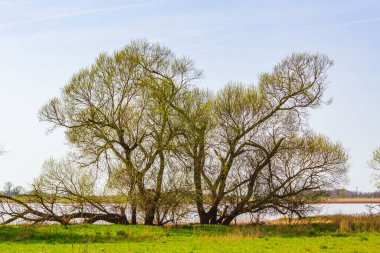 Beautiful wadden sea tidelands coast beach water and dike landscape panorama at the Wesertunnel in Loxstedt Cuxhaven Lower Saxony Germany.
