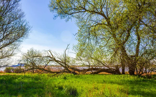 Beautiful wadden sea tidelands coast beach water and dike landscape panorama at the Wesertunnel in Loxstedt Cuxhaven Lower Saxony Germany.