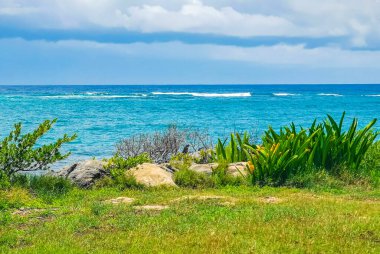 Antik Tulum 'daki doğal deniz manzarası, Tulum Meksika' daki tropikal doğal orman palmiyesinde tapınak kalıntıları ve eserlerle Maya bölgesini harap ediyor..