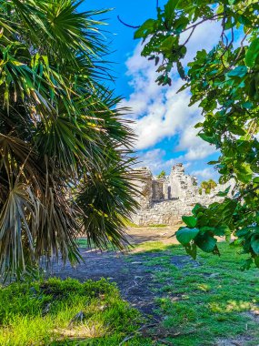 Antik Tulum, Tulum Meksika 'daki tropikal doğal orman palmiyesi ve deniz manzarasında tapınak kalıntıları ve eserlerle Maya bölgesini harabeye çeviriyor..
