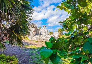 Antik Tulum, Tulum Meksika 'daki tropikal doğal orman palmiyesi ve deniz manzarasında tapınak kalıntıları ve eserlerle Maya bölgesini harabeye çeviriyor..