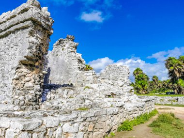 Antik Tulum, Tulum Meksika 'daki tropikal doğal orman palmiyesi ve deniz manzarasında tapınak kalıntıları ve eserlerle Maya bölgesini harabeye çeviriyor..