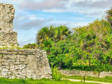 Antik Tulum, Tulum Meksika 'daki tropikal doğal orman palmiyesi ve deniz manzarasında tapınak kalıntıları ve eserlerle Maya bölgesini harabeye çeviriyor..