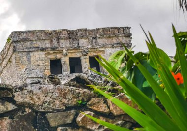 Antik Tulum, Tulum Meksika 'daki tropikal doğal orman palmiyesi ve deniz manzarasında tapınak kalıntıları ve eserlerle Maya bölgesini harabeye çeviriyor..