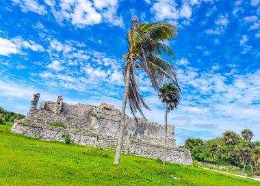 Antik Tulum, Tulum Meksika 'daki tropikal doğal orman palmiyesi ve deniz manzarasında tapınak kalıntıları ve eserlerle Maya bölgesini harabeye çeviriyor..