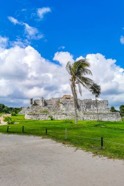 Antik Tulum, Tulum Meksika 'daki tropikal doğal orman palmiyesi ve deniz manzarasında tapınak kalıntıları ve eserlerle Maya bölgesini harabeye çeviriyor..